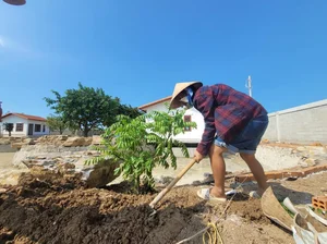 Eco-Friendly Celebrities: Famous Artists Embracing and Promoting a Green Lifestyle - image 3