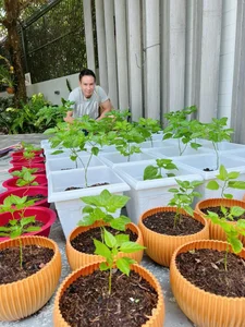 Eco-Friendly Celebrities: Famous Artists Embracing and Promoting a Green Lifestyle - image 1