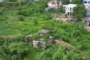 The Hidden History of Military Bunkers on Hue's Ancient Citadel Walls - image 3