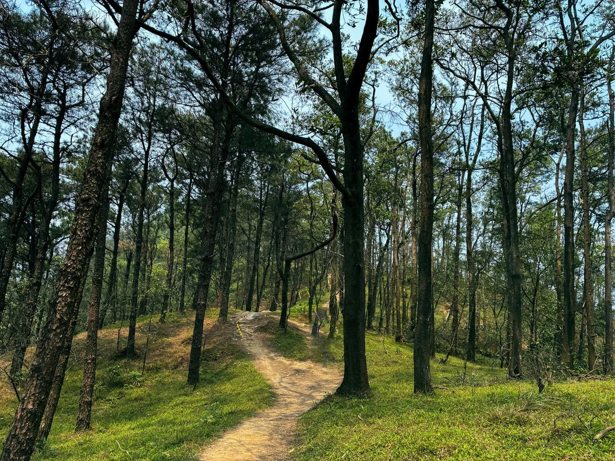 Trekking Ham Lon Mountain: Conquer the Roof of Hanoi and Escape into the Wild Pine Forests