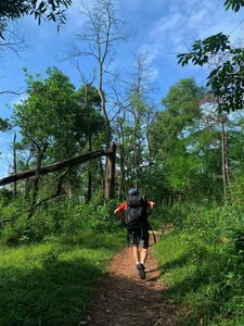 Trekking Ham Lon Mountain: Conquer the Roof of Hanoi and Escape into the Wild Pine Forests - image 5