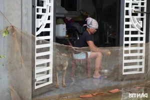 Hanoi Flooding Crisis: A Mother’s Brave Escape with Her 9-Month-Old Baby - image 11