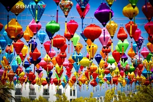 Spectacular S-Shaped Map Flower Street Debuts in Kien Giang - image 0