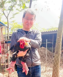 The Rare Royal Chicken Breed Captivating Foreign Buyers for Premium Lunar New Year Gifts - image 7