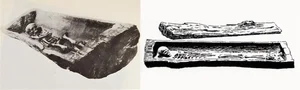 Mystery Solved: The Secrets of the Ancient Coffin Containing the Remains of a Lost Princess - image 7