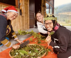 Leaving the City: Why a Successful Director Chose Mountain Life - image 1