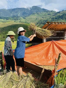 Leaving the City: Why a Successful Director Chose Mountain Life - image 8