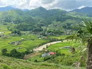 Leaving the City: Why a Successful Director Chose Mountain Life - image 10