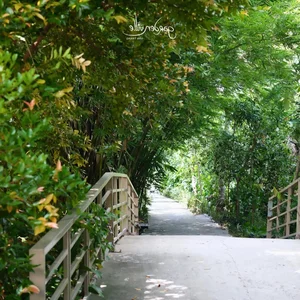 Actress Van Trang’s Massive 50,000m2 Eco-Garden: A Multi-Billion VND Sanctuary in the Heart of Nature - image 6