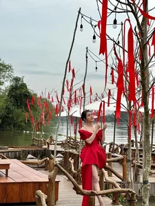 Actress Van Trang’s Massive 50,000m2 Eco-Garden: A Multi-Billion VND Sanctuary in the Heart of Nature - image 10