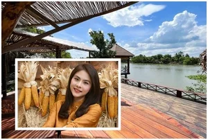 Actress Van Trang’s Massive 50,000m2 Eco-Garden: A Multi-Billion VND Sanctuary in the Heart of Nature - image 3