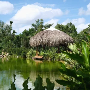 Actress Van Trang’s Massive 50,000m2 Eco-Garden: A Multi-Billion VND Sanctuary in the Heart of Nature - image 9