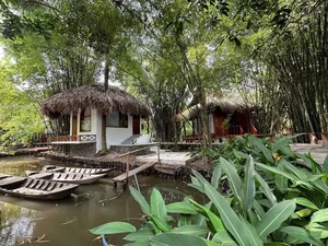 Actress Van Trang’s Massive 50,000m2 Eco-Garden: A Multi-Billion VND Sanctuary in the Heart of Nature - image 8