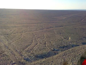 How Artificial Intelligence is Decoding the Mysterious Nazca Lines in Peru - image 3
