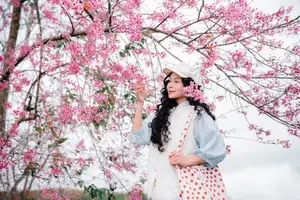 Experience Dalat Cherry Blossoms: Where nature meets wind turbines, an unforgettable photo spot! - image 3