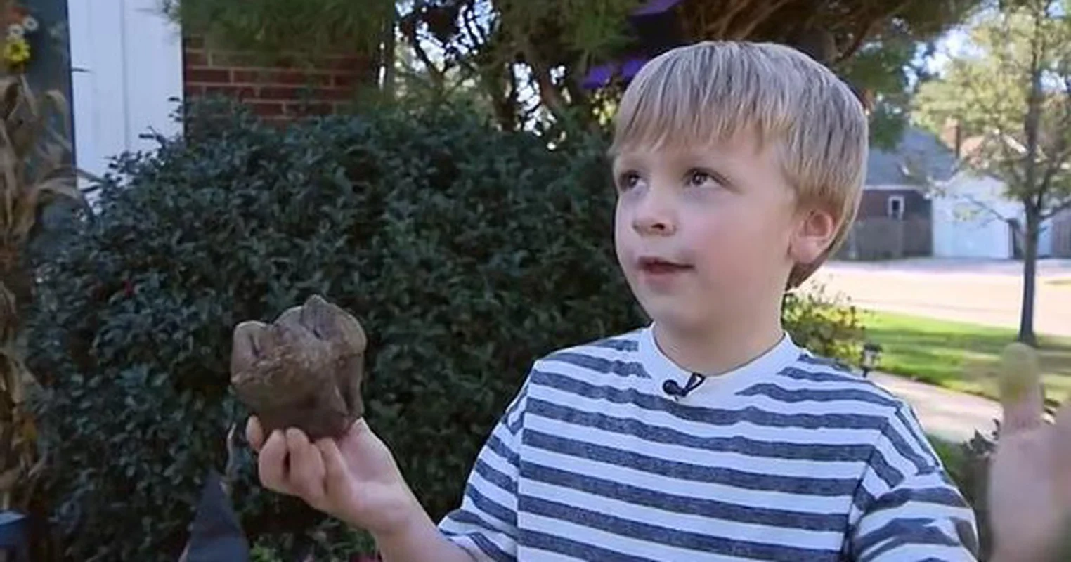 A Young Boy Stumbles Upon Ancient Fossilized Teeth During a Playful Afternoon