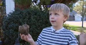 A Young Boy Stumbles Upon Ancient Fossilized Teeth During a Playful Afternoon - image 0