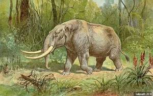 A Young Boy Stumbles Upon Ancient Fossilized Teeth During a Playful Afternoon - image 2