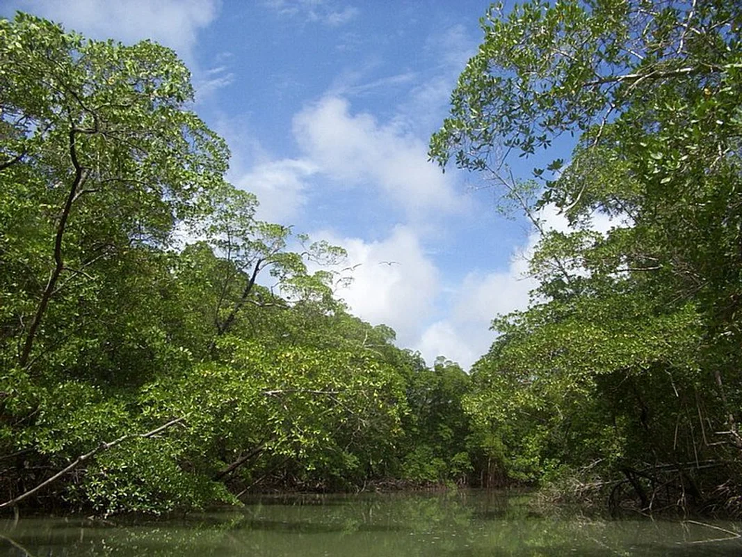 Fascinating and Lesser-Known Facts About the Vibrant Nation of Brazil