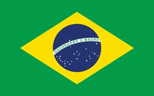 Fascinating and Lesser-Known Facts About the Vibrant Nation of Brazil - image 6