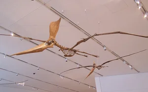 The Mythical Chimera: A Strange Creature with Dinosaur, Monkey, and Bird Features - image 5