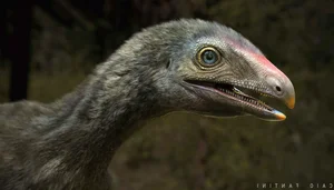 The Mythical Chimera: A Strange Creature with Dinosaur, Monkey, and Bird Features - image 0
