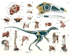The Mythical Chimera: A Strange Creature with Dinosaur, Monkey, and Bird Features - image 4
