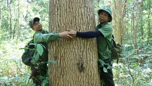On the Frontlines: Forest Protection Forces Working Tirelessly to Remove Illegal Animal Traps and Preserve Wildlife - image 14