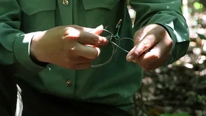 On the Frontlines: Forest Protection Forces Working Tirelessly to Remove Illegal Animal Traps and Preserve Wildlife - image 5