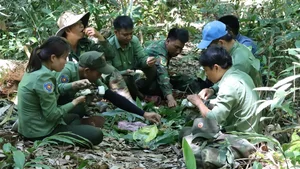 On the Frontlines: Forest Protection Forces Working Tirelessly to Remove Illegal Animal Traps and Preserve Wildlife - image 8