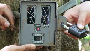 On the Frontlines: Forest Protection Forces Working Tirelessly to Remove Illegal Animal Traps and Preserve Wildlife - image 16