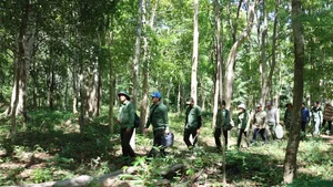 On the Frontlines: Forest Protection Forces Working Tirelessly to Remove Illegal Animal Traps and Preserve Wildlife - image 7