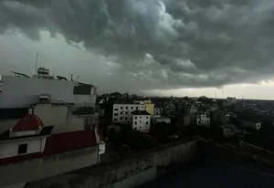 Heavy Storms and Fallen Trees Cause Disruptions Across Hanoi - image 5