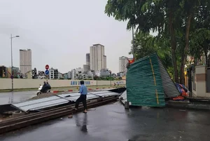 Heavy Storms and Fallen Trees Cause Disruptions Across Hanoi - image 4