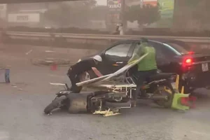 Heavy Storms and Fallen Trees Cause Disruptions Across Hanoi - image 3