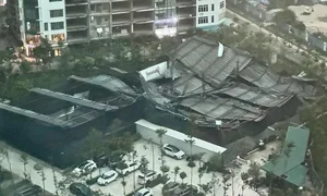 Heavy Storms and Fallen Trees Cause Disruptions Across Hanoi - image 2