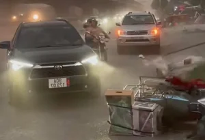 Heavy Storms and Fallen Trees Cause Disruptions Across Hanoi - image 1
