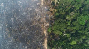The Mystery of Ancient Pyramid Structures Hidden Deep in the Amazon - image 4