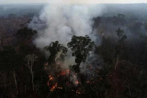 The Mystery of Ancient Pyramid Structures Hidden Deep in the Amazon - image 0