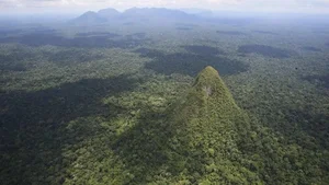 The Mystery of Ancient Pyramid Structures Hidden Deep in the Amazon - image 1