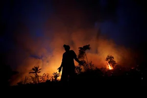 The Mystery of Ancient Pyramid Structures Hidden Deep in the Amazon - image 7