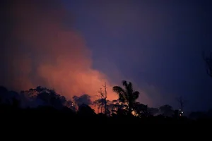 The Mystery of Ancient Pyramid Structures Hidden Deep in the Amazon - image 11