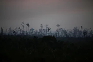 The Mystery of Ancient Pyramid Structures Hidden Deep in the Amazon - image 12