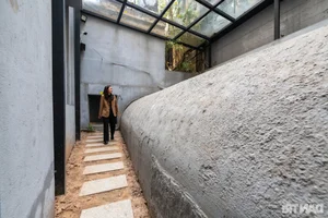 Rare Images of 130-Year-Old Secret Bunker Near Hoan Kiem Lake - image 13