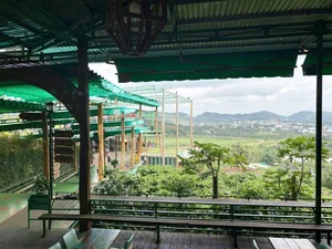 Da Lat Cafe Controversy: The 870,000 VND Bill Debate - image 6