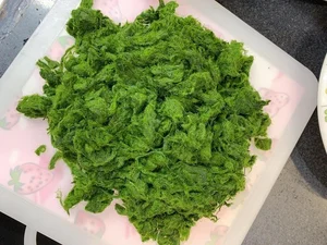From Stream Weed to Gourmet Delicacy: The Fascinating Story of Grilled Stone Moss - image 4