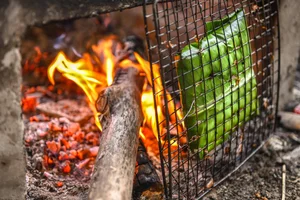 From Stream Weed to Gourmet Delicacy: The Fascinating Story of Grilled Stone Moss - image 6