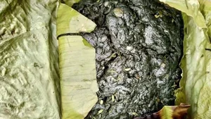 From Stream Weed to Gourmet Delicacy: The Fascinating Story of Grilled Stone Moss - image 1