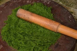From Stream Weed to Gourmet Delicacy: The Fascinating Story of Grilled Stone Moss - image 3
