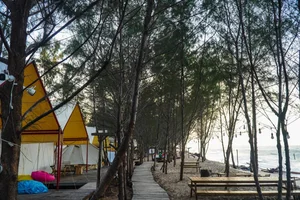 Discover the Serene Beauty of Ho Coc Beach: A Pristine Coastal Escape Near Ho Chi Minh City for Your Next Peaceful Vacation - image 7